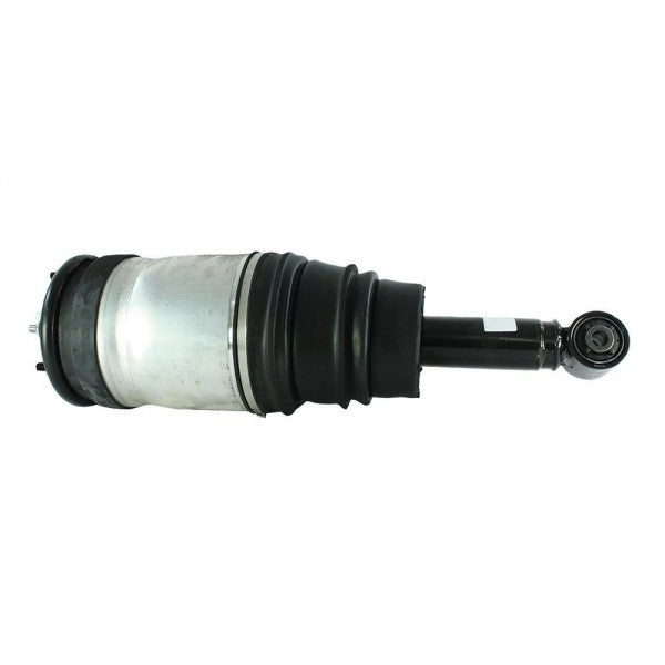Rear Damper assembly