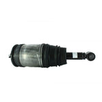Rear Damper assembly