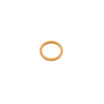Drain Plug Washer
