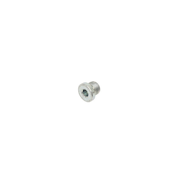 Plug Oil Drain – STC4098