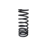 Rear Coil Springs for Range Rover P38 (1995–2002) Air to Coil Conversion – TF031