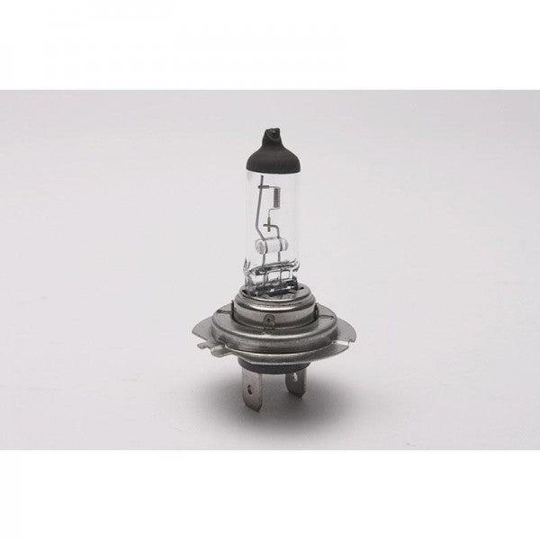 H7 (477) Headlight Bulb
