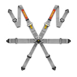 MOMO Pro Driver Racing Harnesses - 6 Point - Grey