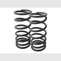 Range Rover P38 Replacement Heavy-Duty Rear Coil Springs