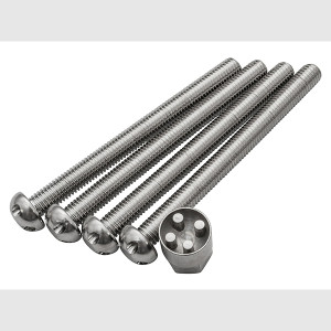 M10 x 110mm Tamper Proof Security Bolt Set & Key