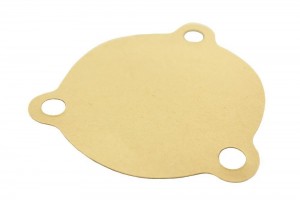 Front Plate Gasket