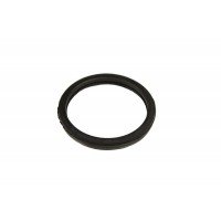 Thermostat Housing Seal