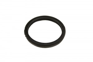 Thermostat Housing Seal