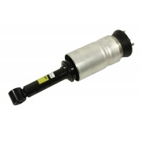 Front Air Shock Absorber