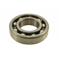 Front Differential Bearing