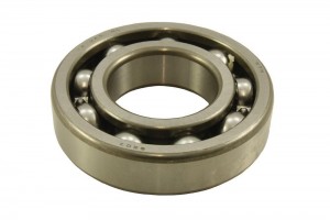 Front Differential Bearing