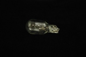 955 Light Bulb
